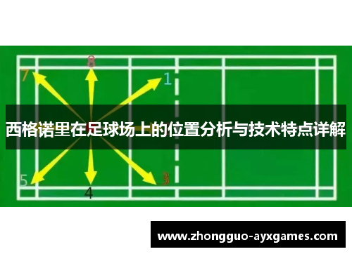 西格诺里在足球场上的位置分析与技术特点详解