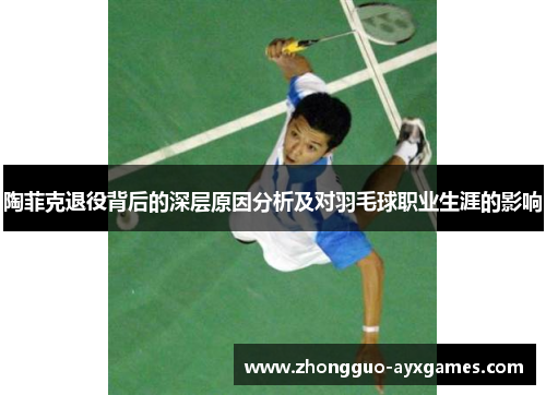 陶菲克退役背后的深层原因分析及对羽毛球职业生涯的影响