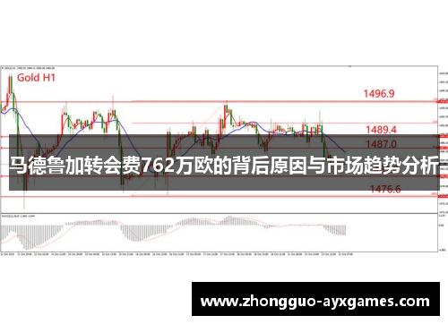 马德鲁加转会费762万欧的背后原因与市场趋势分析