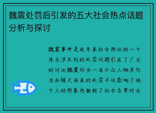 魏震处罚后引发的五大社会热点话题分析与探讨