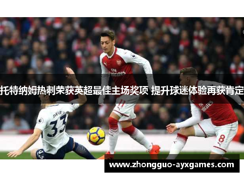 托特纳姆热刺荣获英超最佳主场奖项 提升球迷体验再获肯定